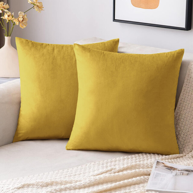 Velvet Scatter Cushion Covers - Soft Plush Decorative Covers Set of 2 for Sofa & Bed