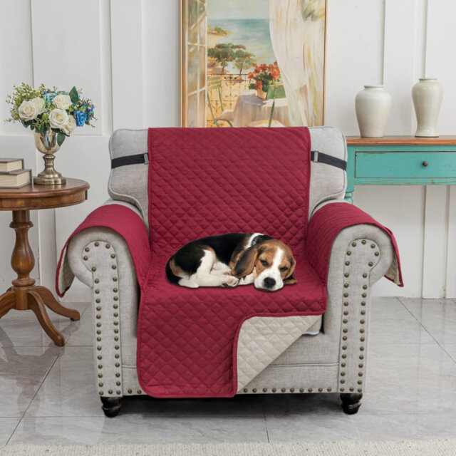 Slipcover