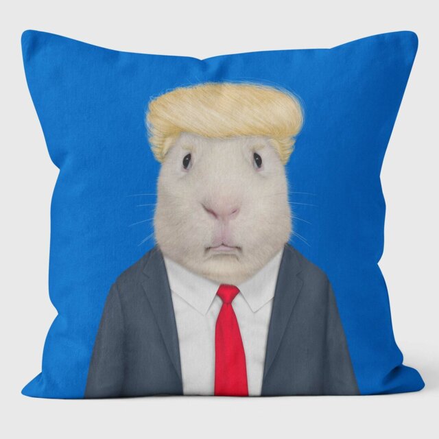 Mr Orange - Pets Rock Cushion