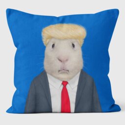 Mr Orange - Pets Rock Cushion