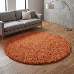 Ainsley Plain Living Room Shaggy Area Rug Modern Soft Pile Polyester Rug