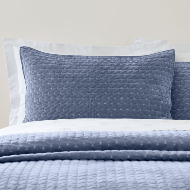 Attica Velvet Embroidered Pillow sham Pair