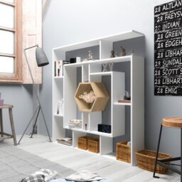 Okane Bookcase