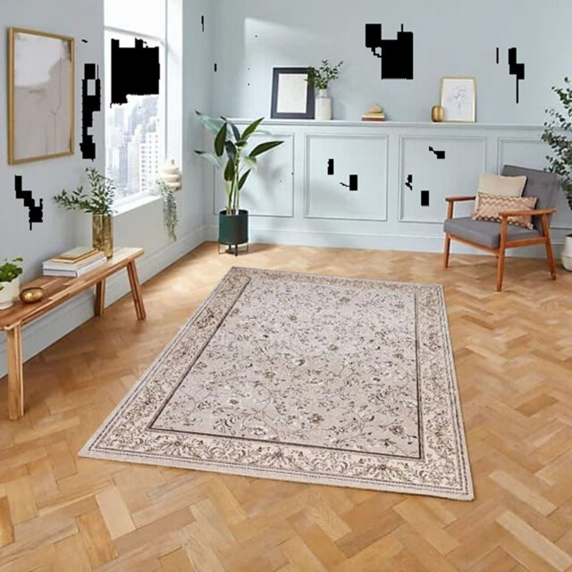 Oriental Area Rug