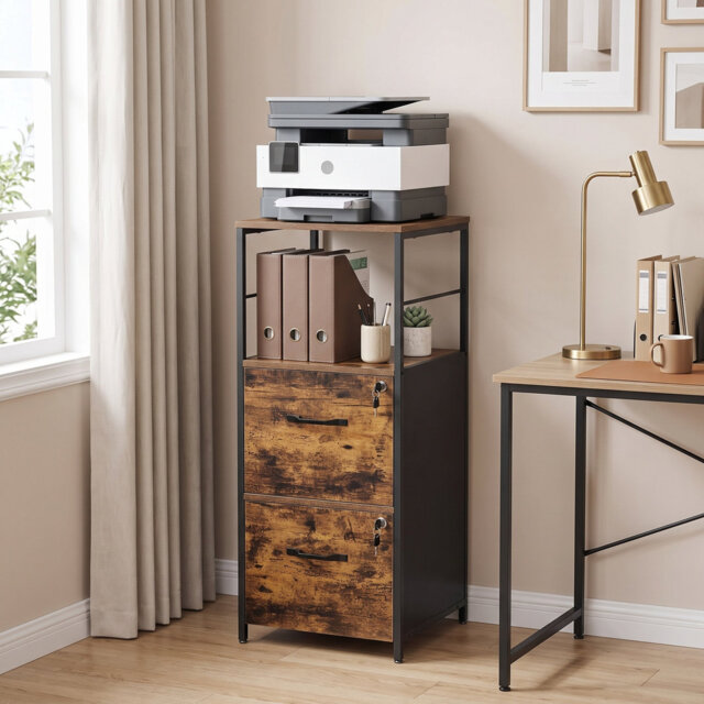 Agniv 40.2cm Wide File Cabinet
