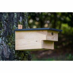 Mounted Bird House