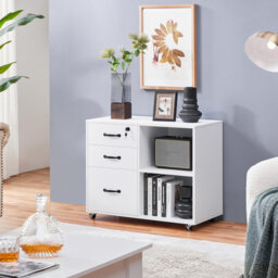 80cm Wide 3 -Drawer File Cabinet