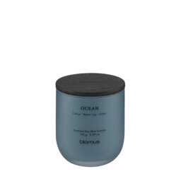Scented Candle