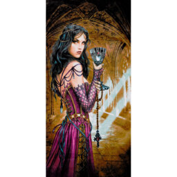 STORY OF THE ROSE ALCHEMY GOTHIC VELOUR BEACH TOWEL