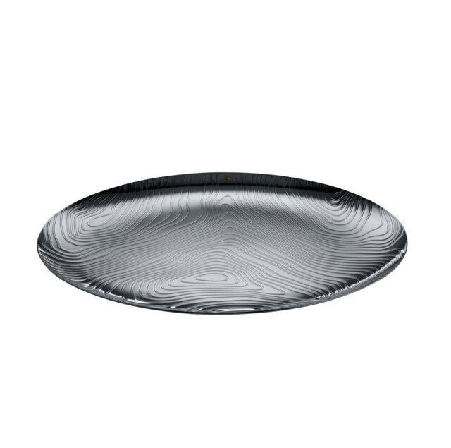 Stainless Steel Tray