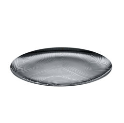 Stainless Steel Tray