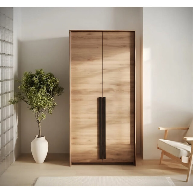Genua 2-Door Wardrobe in Black Matt with Green Accents - Statement Style, Smart Storage