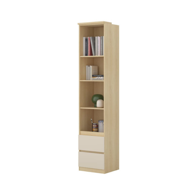 Bischoff 215cm H x 45cm W Composite Bookcase