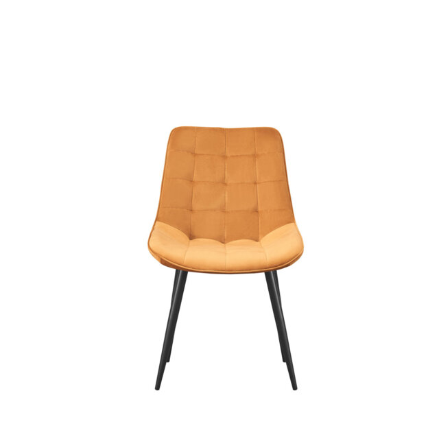 Hindman 46cm H Velvet Upholstered Side Chair in Grey