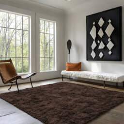 Deep Pile Fluffy Shaggy Area Rug for Indoor/Outdoor Use