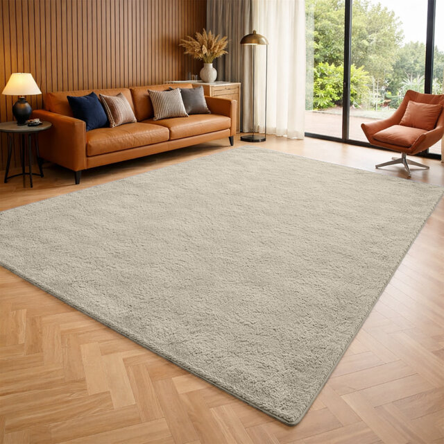 Luxury Pashmina Area Rug – Soft Traditional Living Room & Bedroom Carpet – Elegant Home Floor Rug