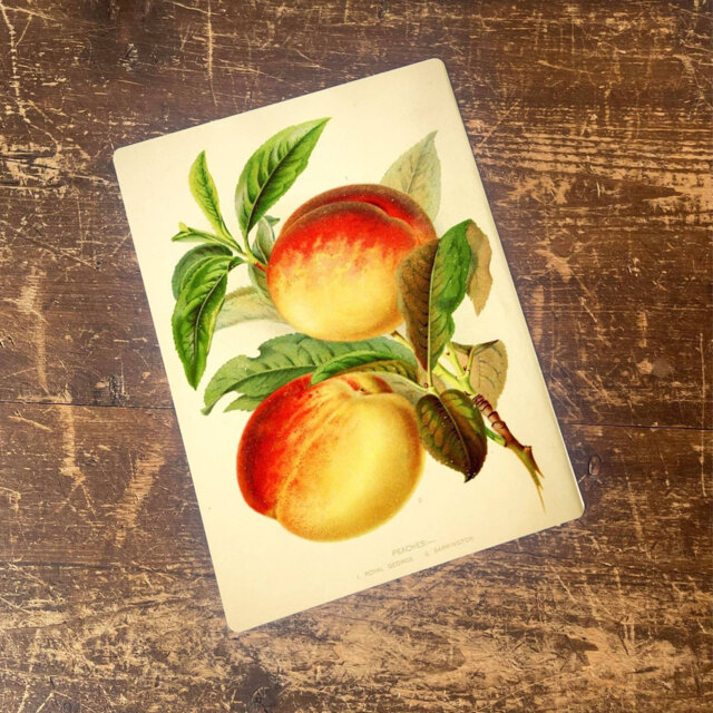 Food & Beverage Wall Decor on Metal