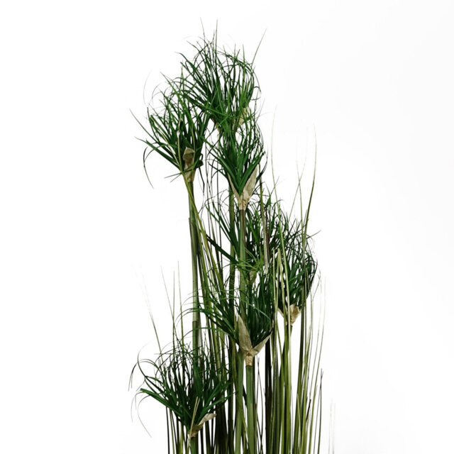 120Cm Artificial Onion Grass Plant in Pot Liner