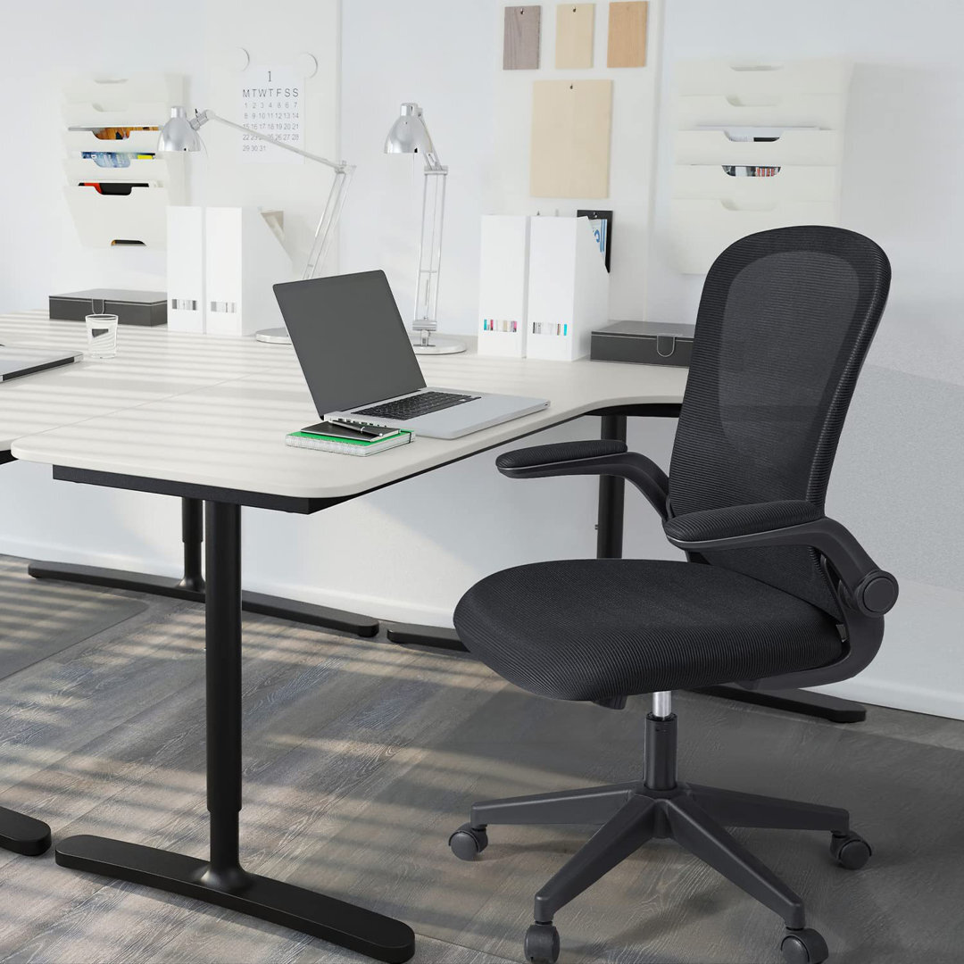 Phineus Ergonomic Mesh Desk Chair by Wayfair