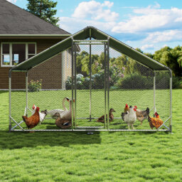 Chicken Coop For Up To 48 Chickens