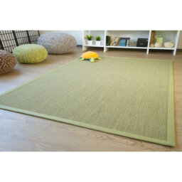 Sisal Rug Brentford - flat woven Green / border Green