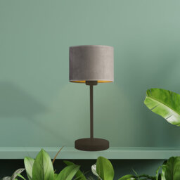 Letina Metal Desk Lamp