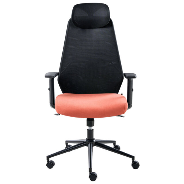 Office Chair with Headrest