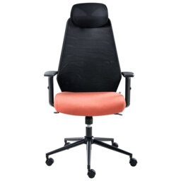 Office Chair with Headrest
