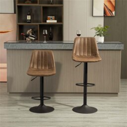 Conary Swivel Adjustable Height Counter Stool with Metal Frame