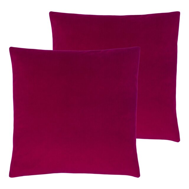 Strader Feathers Scatter Cushion with Filling