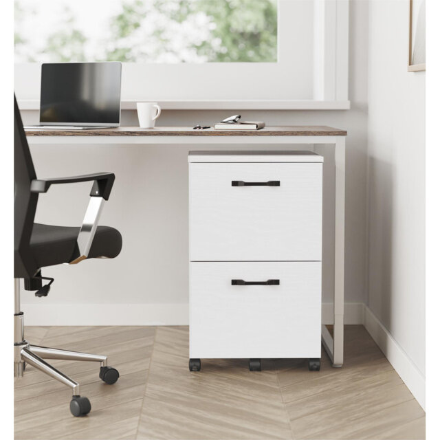 Franny 2 Drawer Filing Cabinet