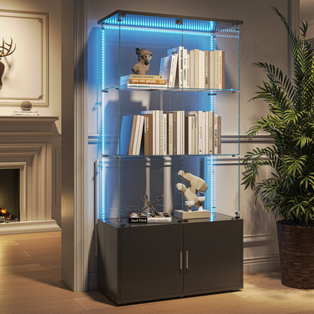 Glass Display Cabinet With LED Lights