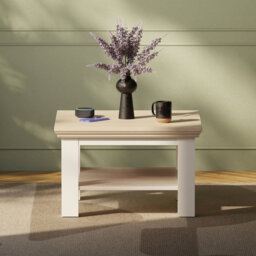 Pontypool Small Coffee Table with Shelf in White and Riva Oak