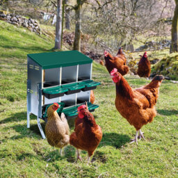 Chicken Nesting Box, Chickens Egg Laying Nest Boxes for Hens, 6/8/10 Compartment Chicken Coop Nesting Box with Removable Tray, Chicken Laying Box for