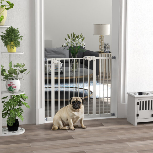 Pet Gate
