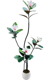 Arrangement