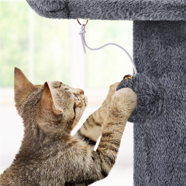 Cat Tree