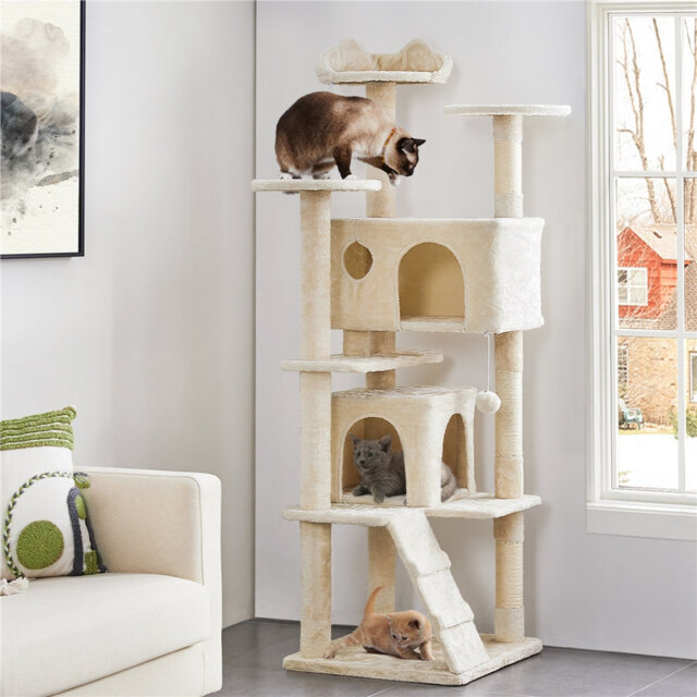 Cat Tree