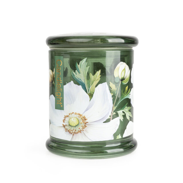 Plant / Floral Scented Jar Candle with Glass Holder