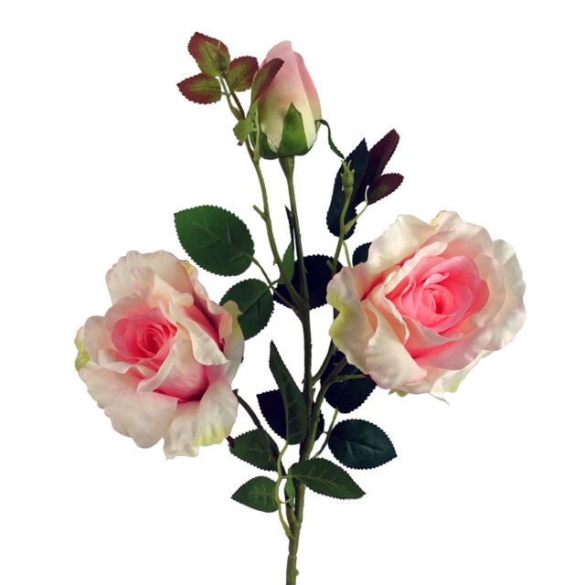 Plastic, Silk Artificial Arrangement