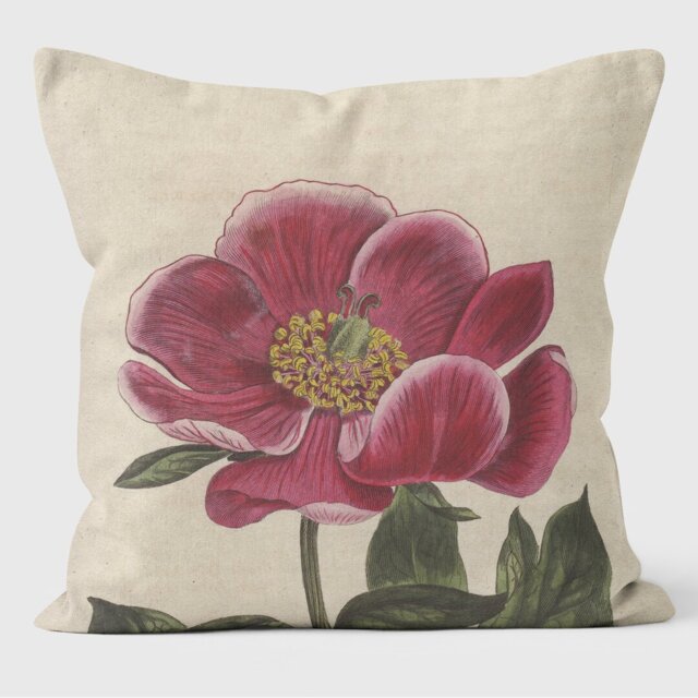 Peony - Botanical Cushion