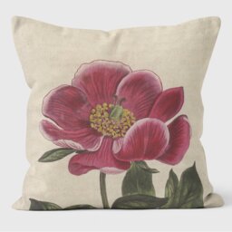 Peony - Botanical Cushion