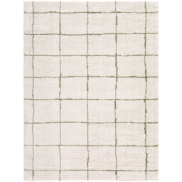 Moroccan Area Rug