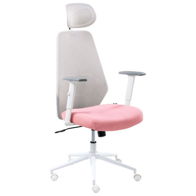 Office Chair with Headrest