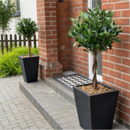 Artificial Topiary Bay Pair Twisted Laurel Ball Trees 120cm 4ft Real Wood Trunk