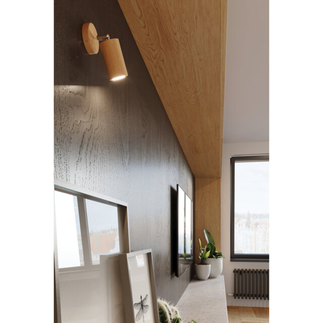 Candelaria 1-Light Wall Spotlight