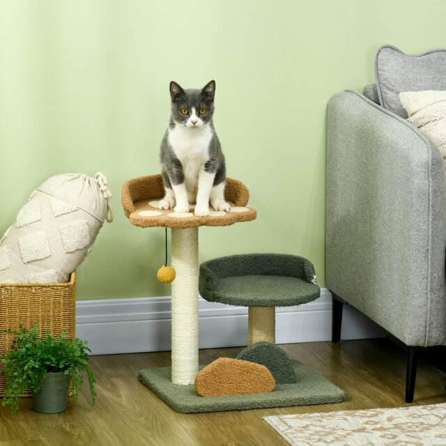 Small Cat Tree for Indoor Cats Scratching Posts 43 x 39 x 52cm