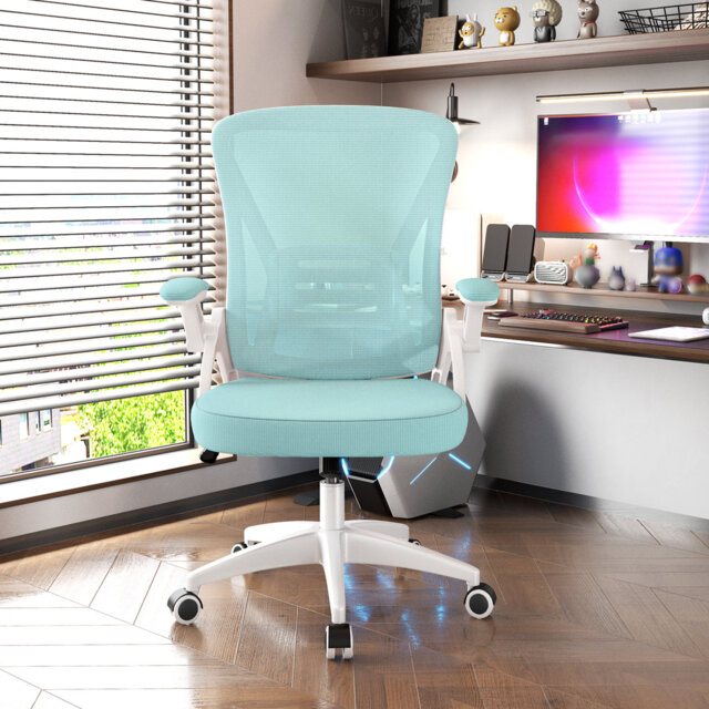 Ergonomic Mesh Office Chair