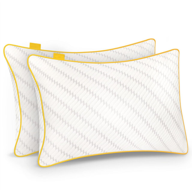 Morandi Support Pillow