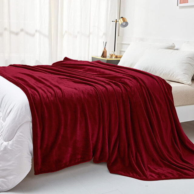 Reversible Faux Fur Mink Fleece Blanket Throw - Ultra Soft Plush Luxury Sofa & Bed Throw, Warm Light
